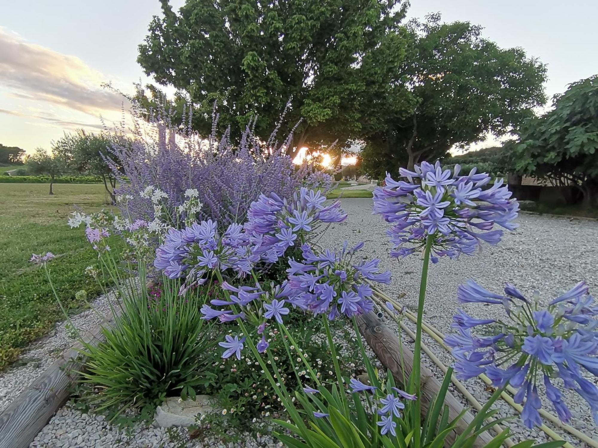 Gîte en Provence Lavande Modene Buitenkant foto